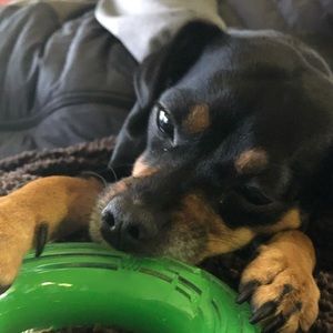 Meet your Posher, Melanie